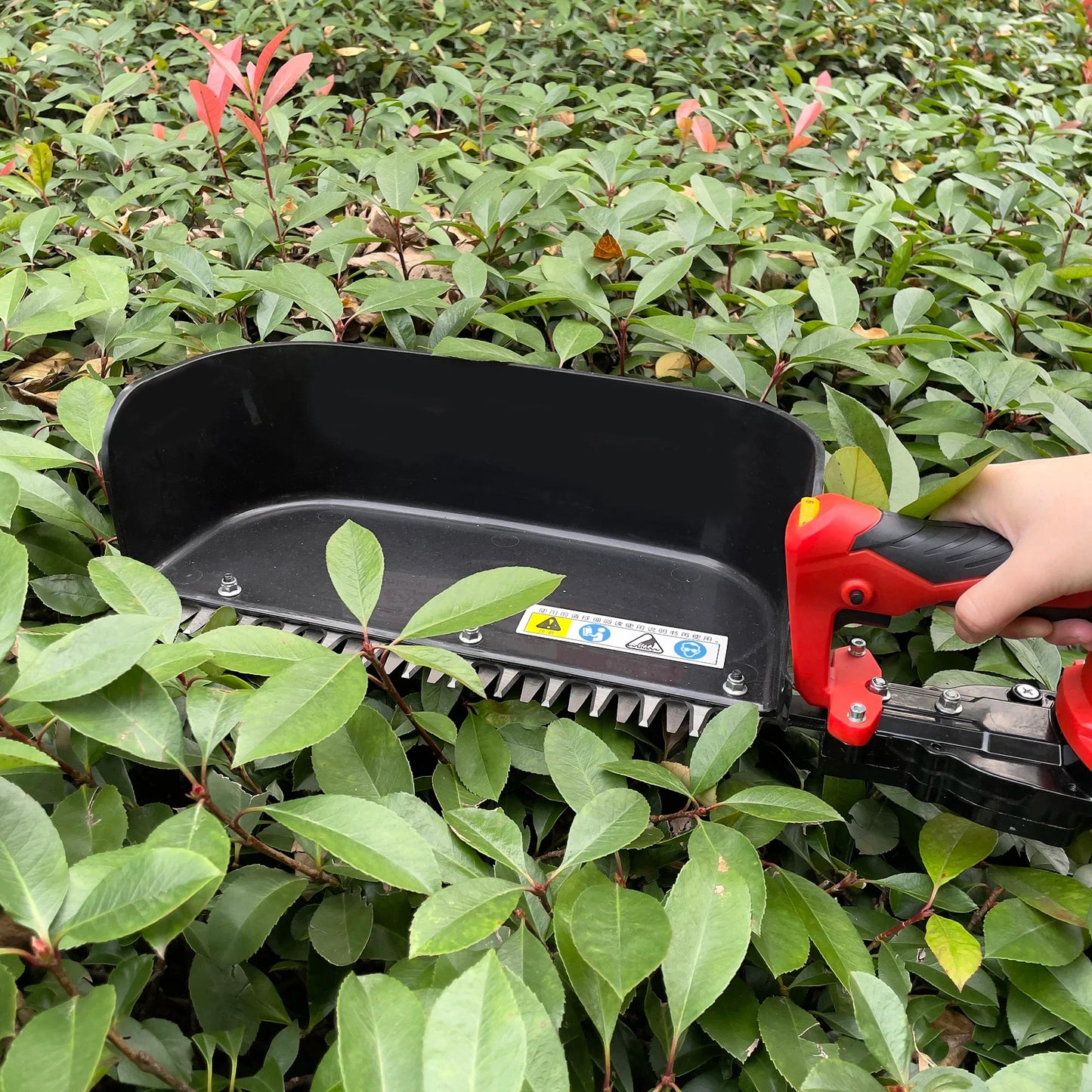 Cisaille Électrique sans Fil à Batterie – Taille Haies & Récolte de Plantes