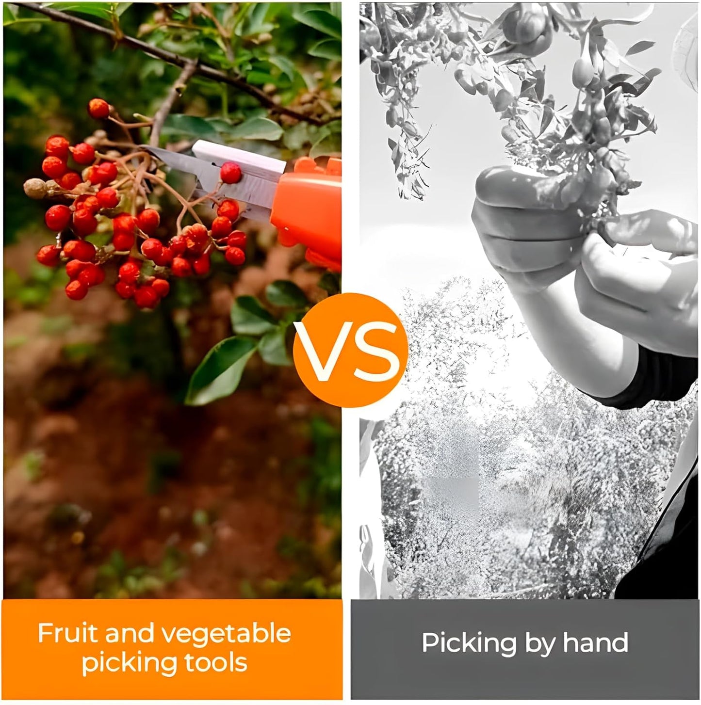 Outil de Récolte Multifonction – Couteau à Pouce et Sécateur pour Cueillette Rapide