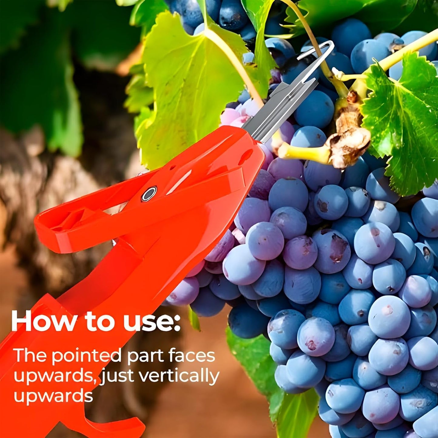 Outil de Récolte Multifonction – Couteau à Pouce et Sécateur pour Cueillette Rapide