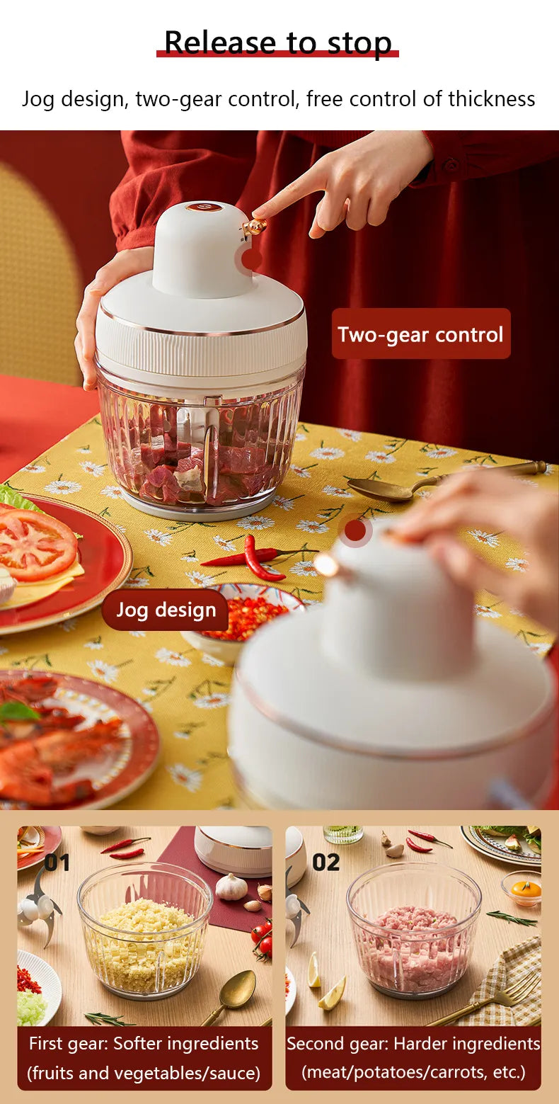 Hachoir à Viande Électrique Puissant & Multifonction