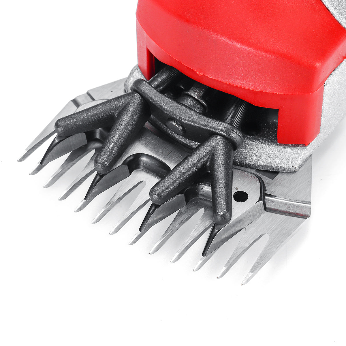 Tondeuse Électrique Laine – Cisailles 13 Dents pour Moutons & Chèvres